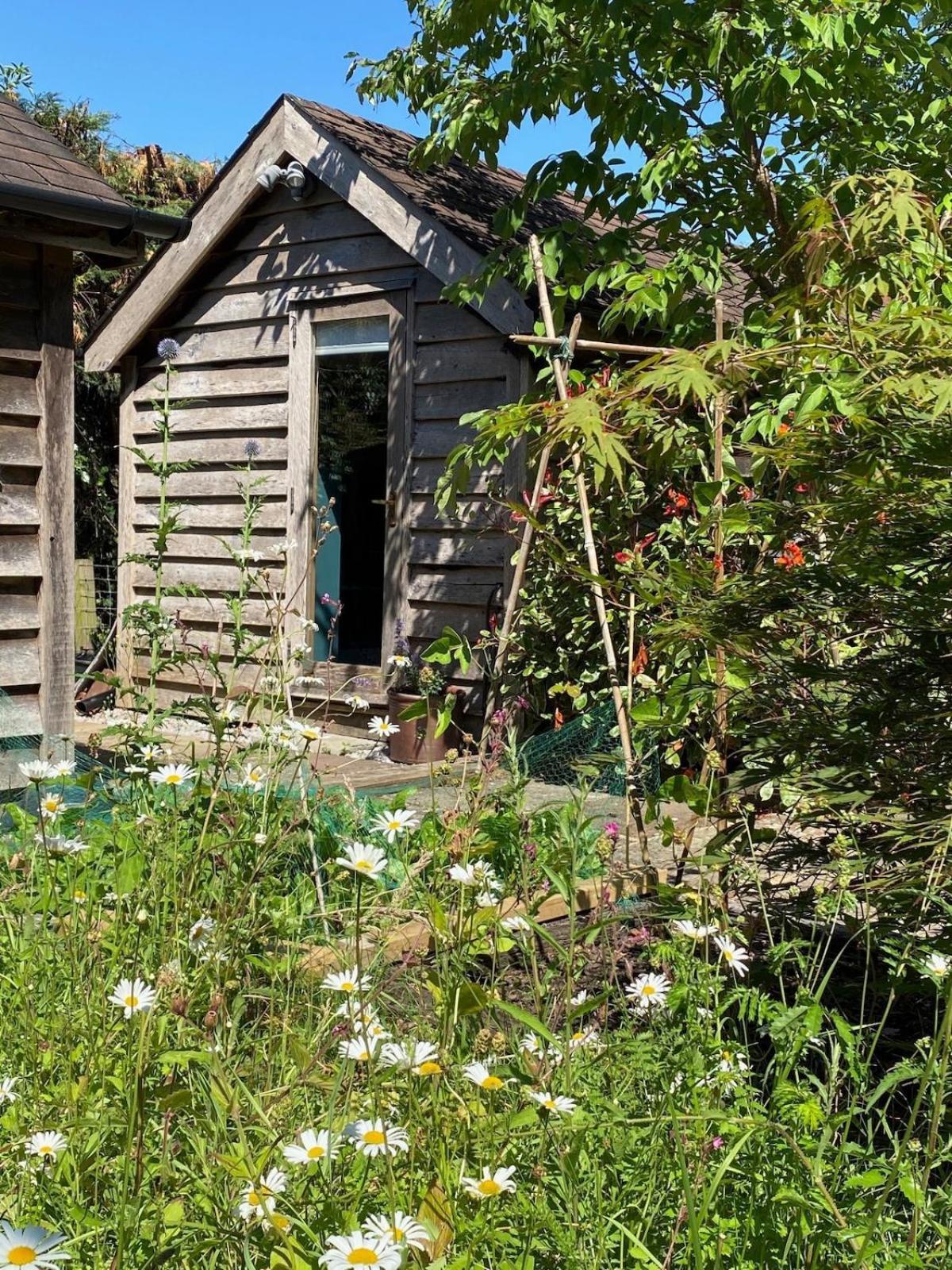 The Tool Shed Nestled In Idyllic Countryside Vila Linchmere Exterior foto