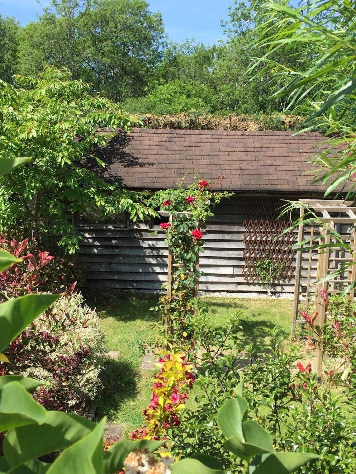 The Tool Shed Nestled In Idyllic Countryside Vila Linchmere Exterior foto