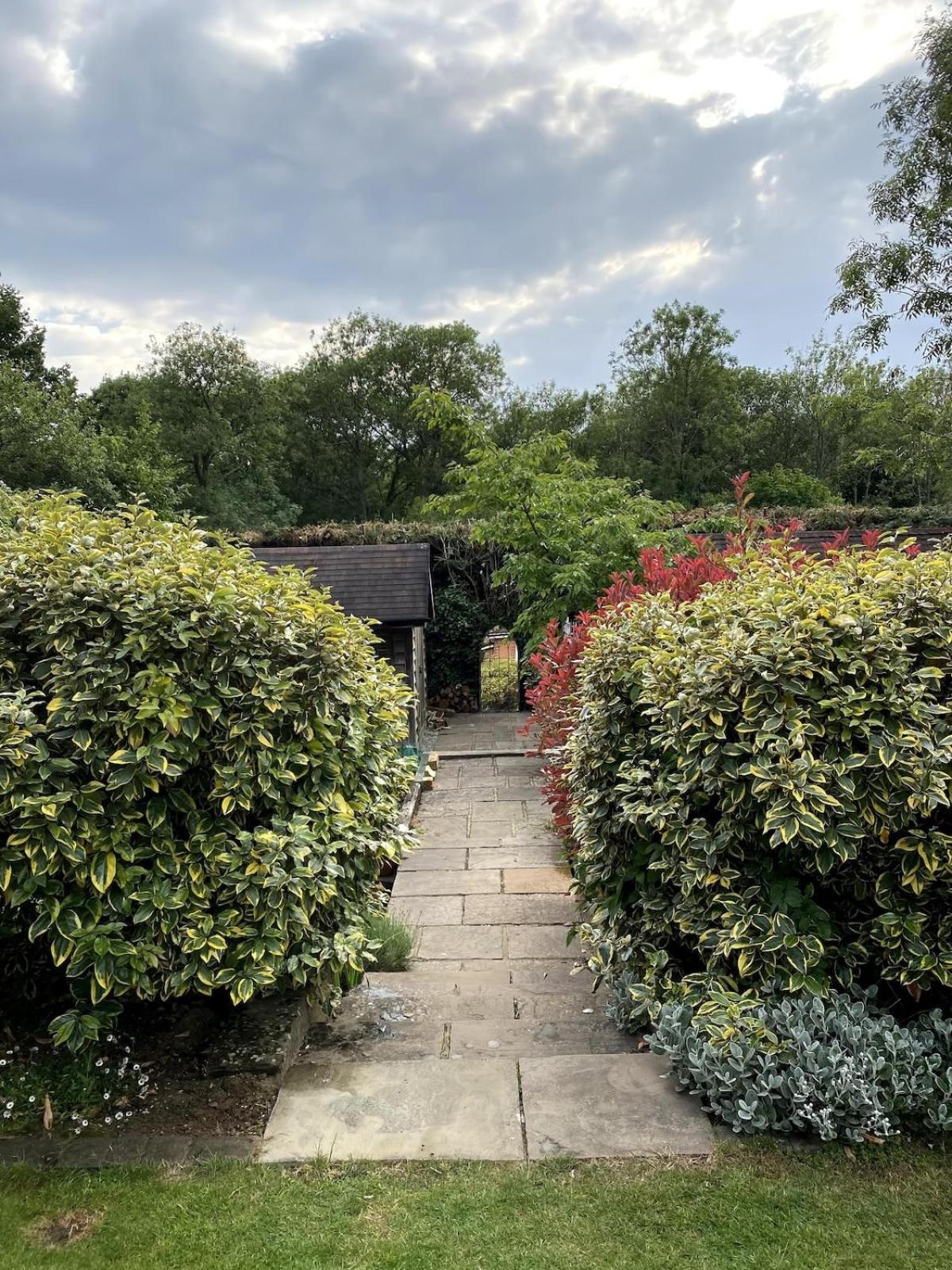 The Tool Shed Nestled In Idyllic Countryside Vila Linchmere Exterior foto